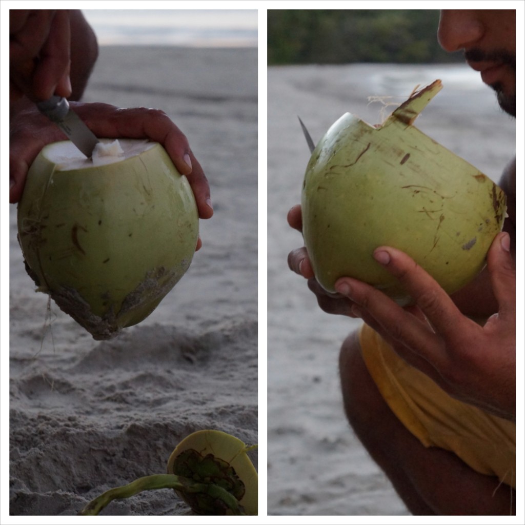 coconut_1
