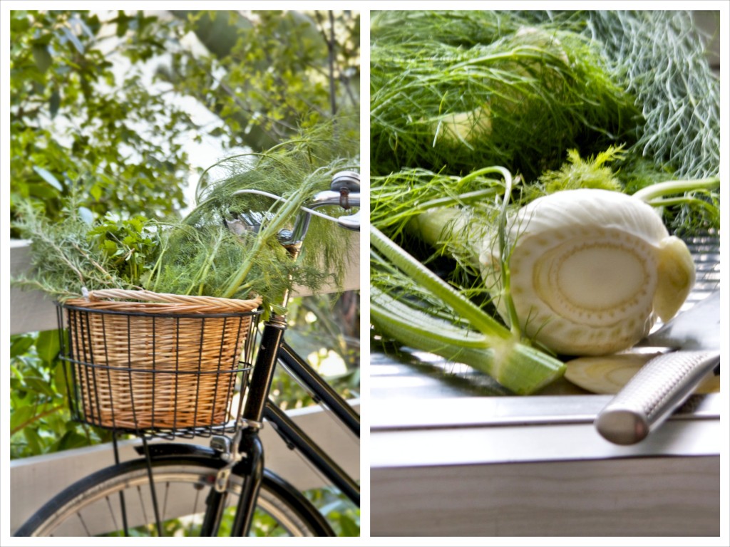 fennel_bycicle_collage